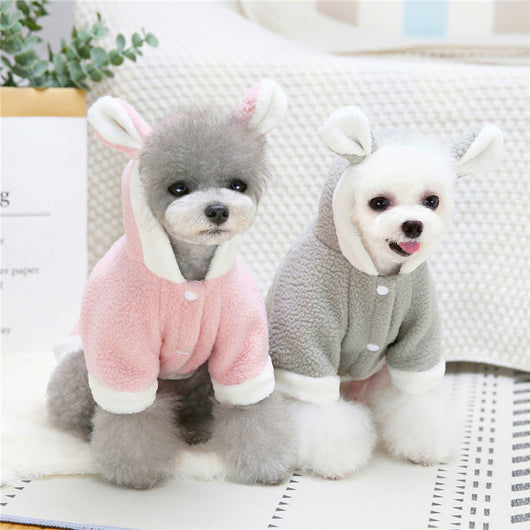 Ropa para Perros y Gatos Pequeños y Medianos - Image 8