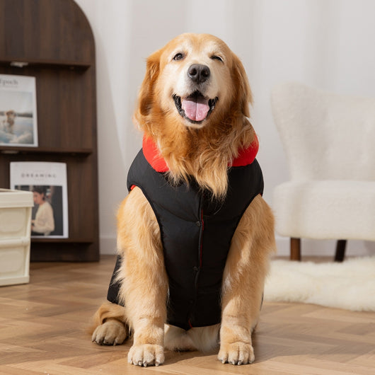 Chaleco Acolchado para Perros Grandes - Ropa de Invierno con Bolsillos - Image 13
