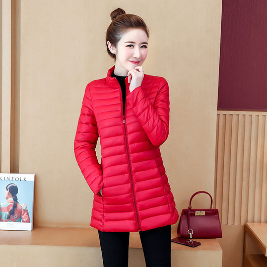 Chaqueta de Algodón Entallada Talla Grande - Corte Medio Ligero - Image 6