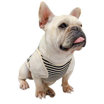 Ropa de Verano Personalizada para Perros - Diseño Fresco y Elegante - Image 6
