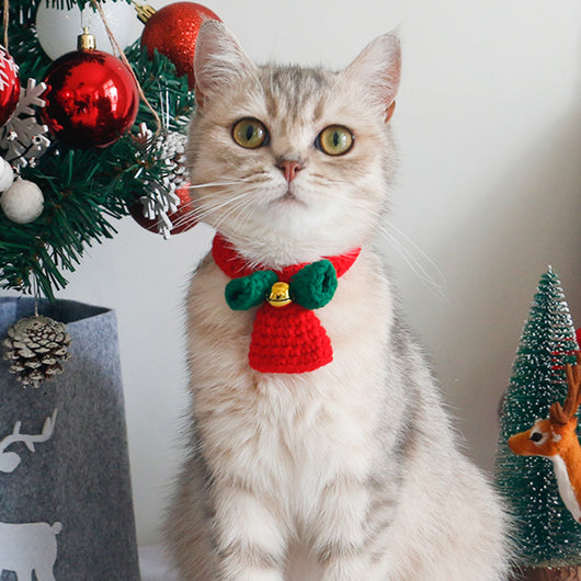Pañoleta Térmica para Mascotas y Accesorios de Invierno - Image 31