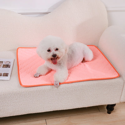 Pañal Lavable para Perros con Almohadilla Absorbente Antideslizante - Image 6