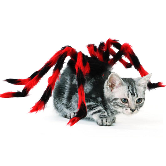 Disfraz de Araña Halloween para Mascotas - Gato y Perro - Image 4