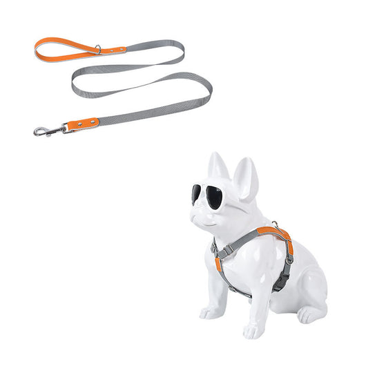 Arnés de Pecho para Perro en Cuero con Correa de Nylon - Image 28