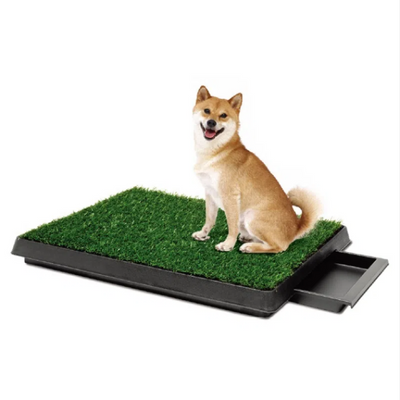 Inodoro Portátil para Mascotas - Entrenamiento Higiénico para Perros y Gatos - Image 20