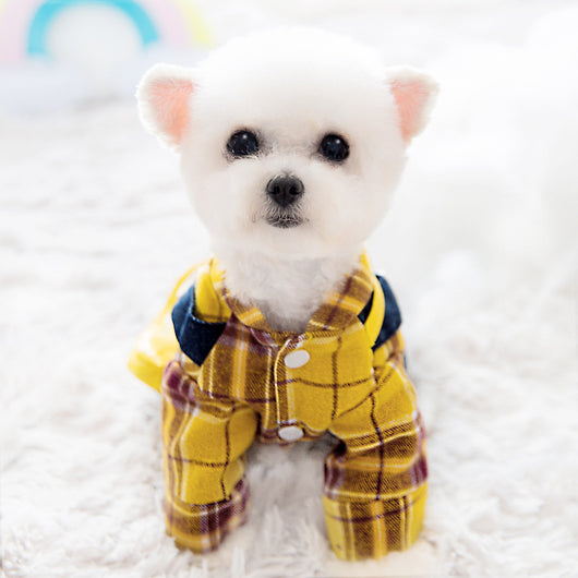 Abrigo para Perro Mochila Adorable - Otoño - Image 10