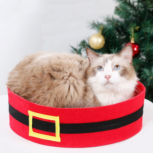 Cama Temática Halloween y Navidad para Mascotas - Image 7