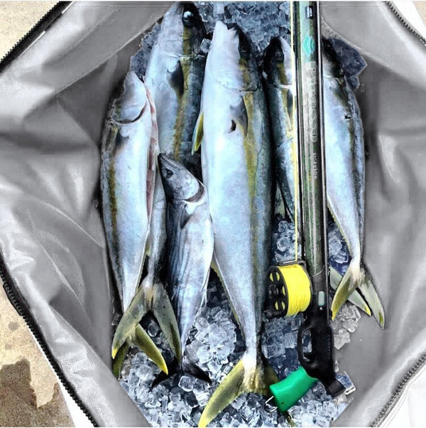 Bolsa de Pesca EVA Impermeable Multiusos Premium