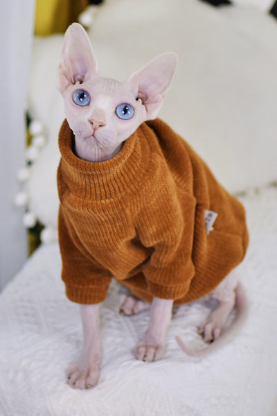 Ropa para Gatos Esfinge Neil Rong - Abrigos Térmicos Especializados - Image 4