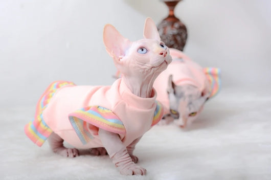Ropa para Mascotas con Manga Volante de Terciopelo - Antideshedding - Image 10