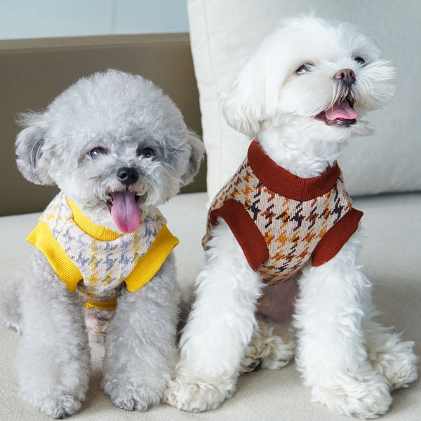 Chaleco para Perros Otoño Invierno Cuello en V Estilo Japonés y Coreano