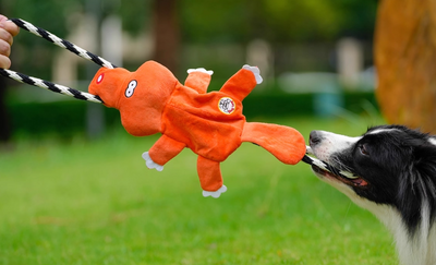 Juguete Molar Interactivo para Perros Medianos y Grandes con Sonido - Image 4
