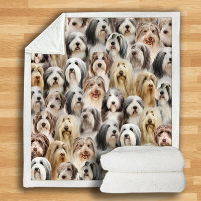 Manta Franela Estampada para Perros - Image 15