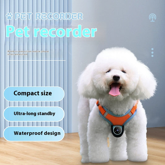 Collar Cámara GPS para Mascotas - Grabadora de Video para Perros y Gatos - Image 2