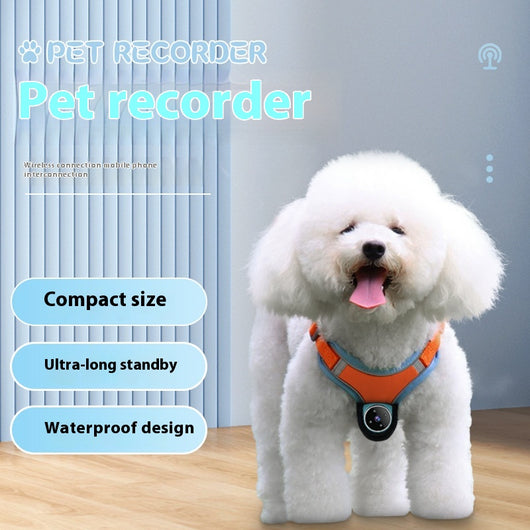 Collar Cámara GPS para Mascotas - Grabadora de Video para Perros y Gatos - Image 2
