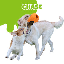 Juguete Rellenable para Perros con Dispensador de Premios - Image 12