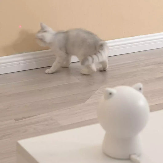 White cat-shaped laser toy with gold eye and red light, alongside a light blue smart rolling ball cat toy. - Image 2