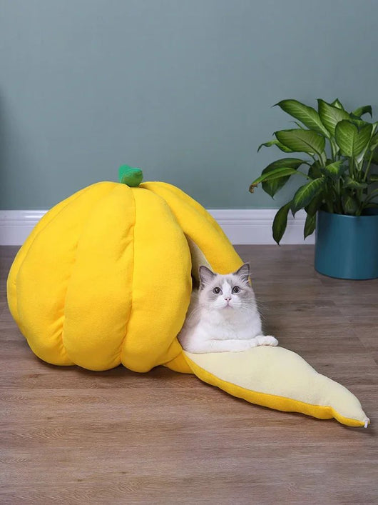Cama Nido Cálida para Gatos - Casa Tipo Calabaza Cerrada con Bolsa de Dormir - Image 18