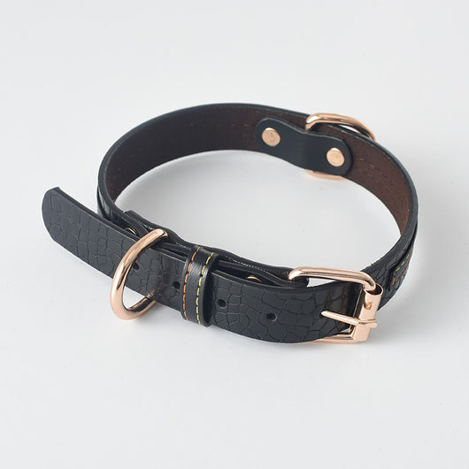 Correa y Collar para Perro - Sistema de Control Seguro - Image 17