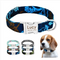 Collar Personalizado para Perros y Gatos con Placa de Identificación Antiextravío