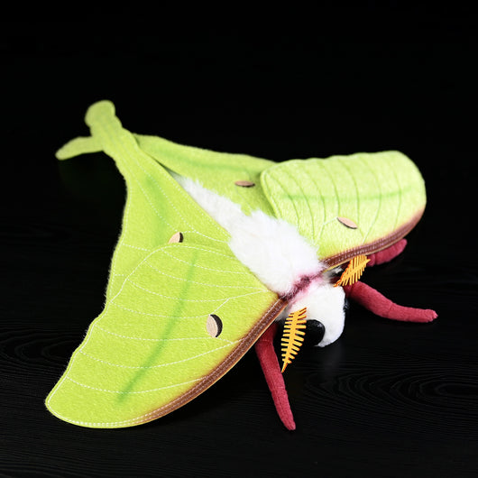 Peluche Polilla Gigante de Cola Verde - Muñeco Insecto Coleccionable - Image 11