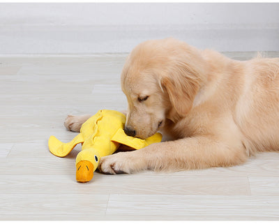 Juguetes Interactivos para Mascotas - Entretenimiento Inteligente - Image 7