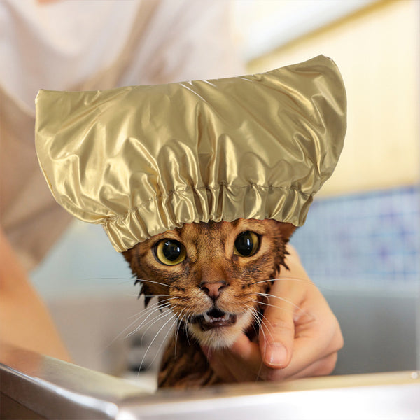 Gorro de Baño Impermeable Ajustable para Perros y Gatos
