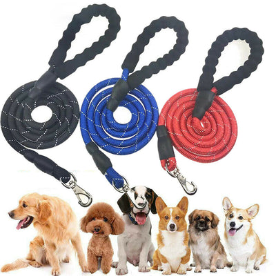 Correa Elástica para Correr con Cinturón Ajustable - Arnés Reflectante para Perros