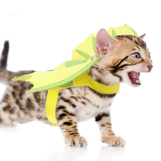 Alas de Dinosaurio para Mascotas - Disfraz Halloween - Image 3