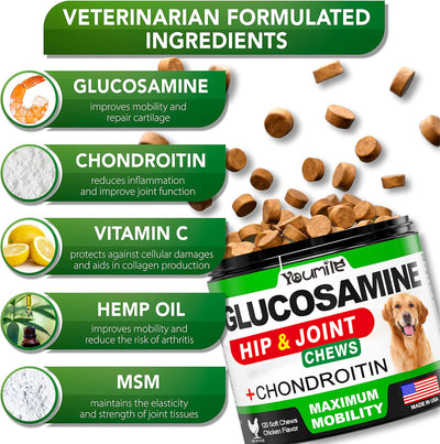 Youmile Glucosamine Hip & Joint Chews for dogs, chicken flavor, 120 soft chews, with a Golden Retriever. - Image 2