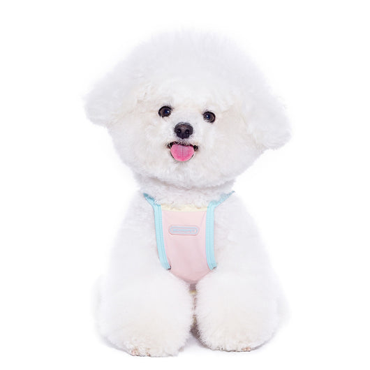 Ropa Fresca de Verano para Perros Pequeños - Bichón y Chihuahua - Image 6