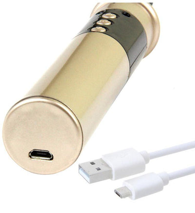 Látigo Eléctrico Regulable para Control de Ambiente - Image 6