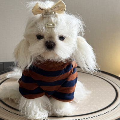 Camisa Ligera a Rayas para Perros - Perfecta para Verano - Image 4