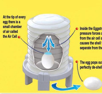 Máquina Peladora de Huevos Cocidos - Sistema Automático sin Cáscara - Image 7