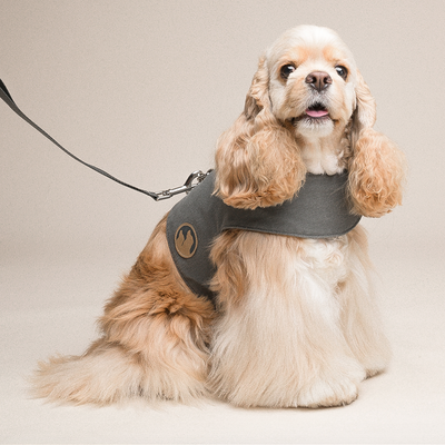 Arnés Chaleco para Perros Pequeños con Correa Integrada - Image 6