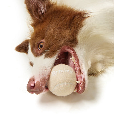 Beige Petsville tennis ball for dogs in a light yellow cylindrical container with a playful dog illustration. - Image 20