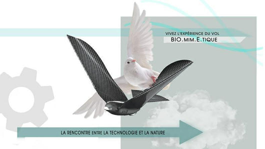 Dron Pájaro Biónico Teledirigido - Juguete Volador Inteligente - Image 9