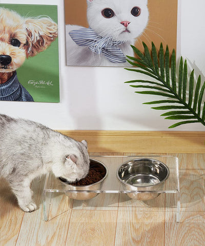 Comedero Elevado de Acrílico para Perros y Gatos - Image 9
