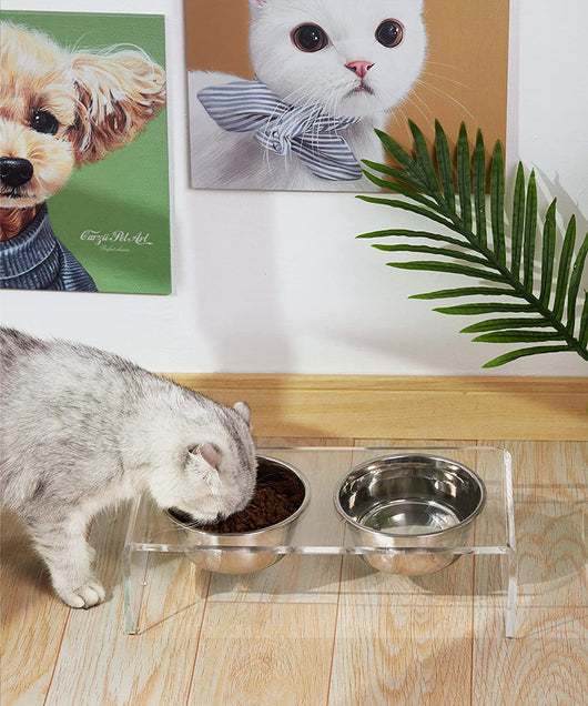 Comedero Elevado de Acrílico para Perros y Gatos - Image 9