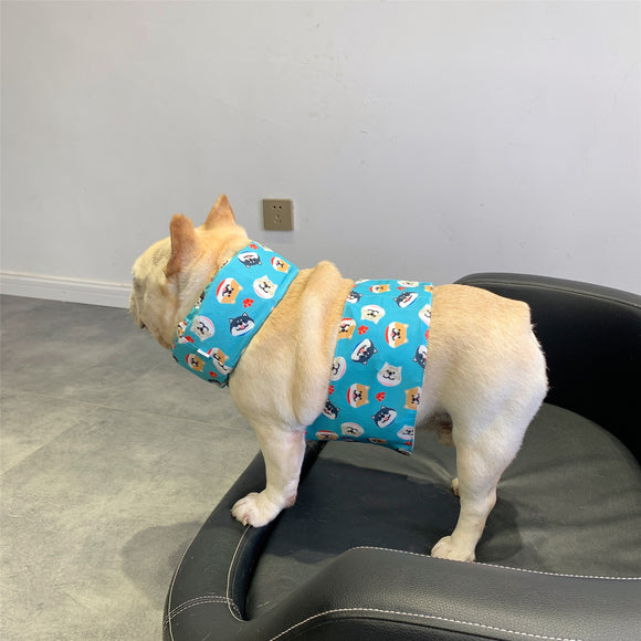 Coleira Refrescante para Cães - Tecnologia de Resfriamento para o Verão