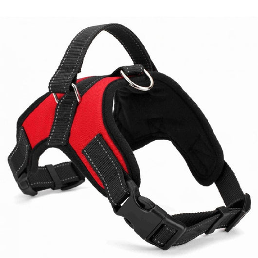 Collar para Perro Mediano y Grande de Calidad Premium - Image 14