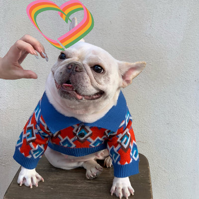 Ropa de Moda para Perros y Gatos - Colecciones Exclusivas - Image 5