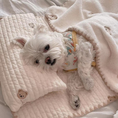 Cama Ortopédica para Perros con Funda Extraíble y Lavable - Image 9