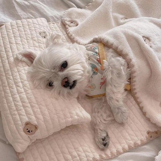 Cama Ortopédica para Perros con Funda Extraíble y Lavable - Image 9
