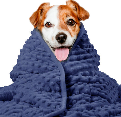 Manta Calmante para Perros con Tecnología Anti-Ansiedad - Image 7