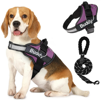Arnés para Perros en Pareja con Correa de Pecho - Image 10