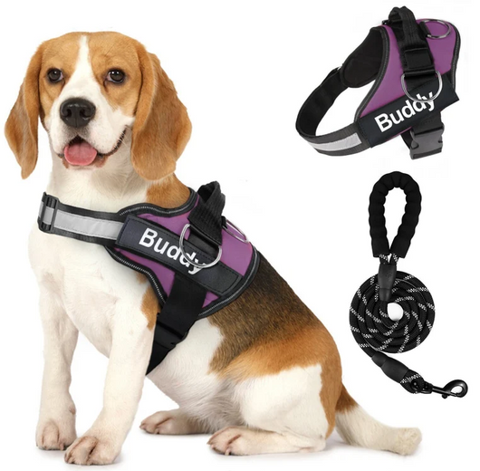 Arnés para Perros en Pareja con Correa de Pecho - Image 10