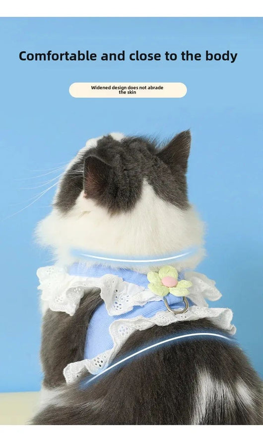 Arnés de Seguridad y Correa para Perros y Gatos - Ropa Fresca de Verano para Mascotas - Image 10