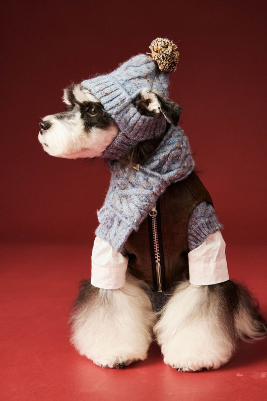 Gorro y Bufanda de Lana para Mascotas - Conjunto Abrigador para Perros - Image 10