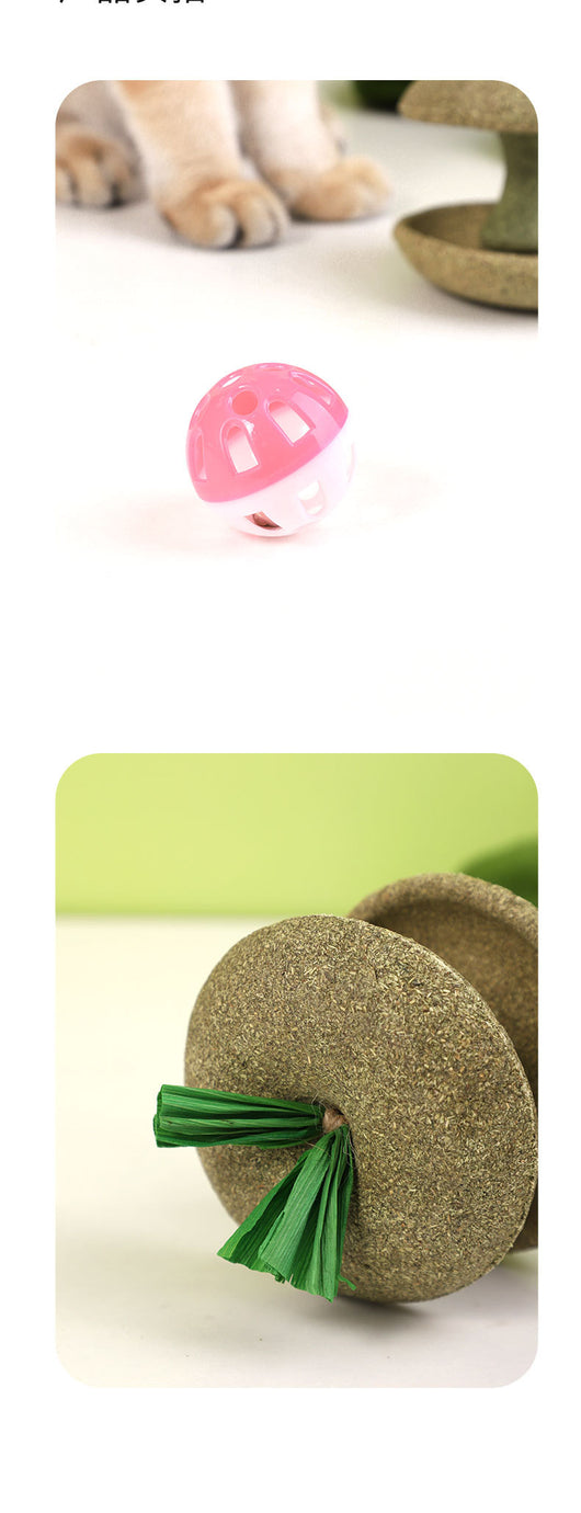 Juguete de Hierba Gatera Comestible con Campana - Juego Interactivo para Gatos - Image 11